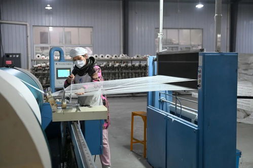 全國市場份額占比百分之六十 產(chǎn)品出口二十多個(gè)國家 荊州苧麻產(chǎn)業(yè) 成長記